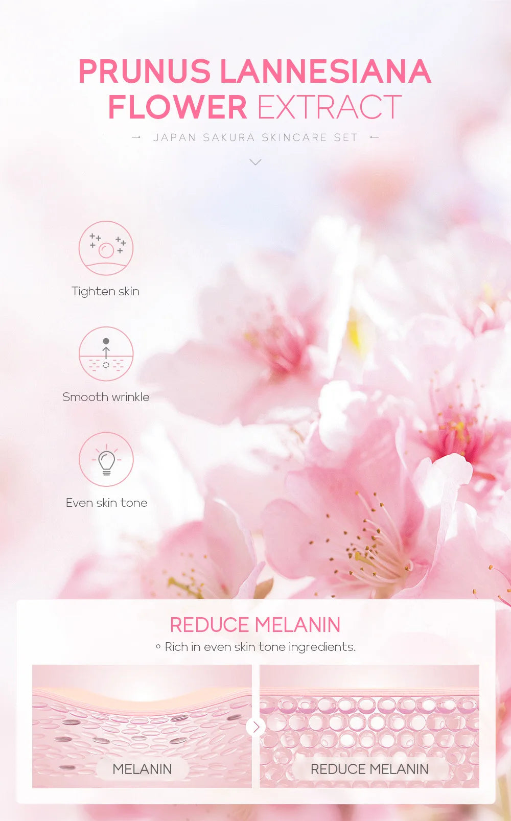 Facial Care Kit – Cleanser, Creams, Serum & Toner