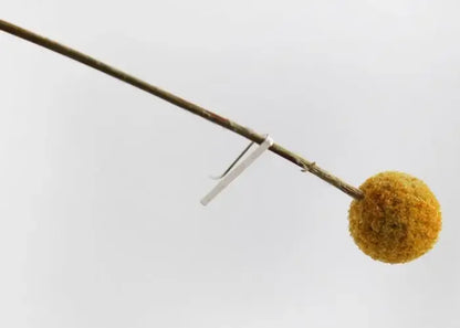 Women’s 925 Sterling Silver Earrings