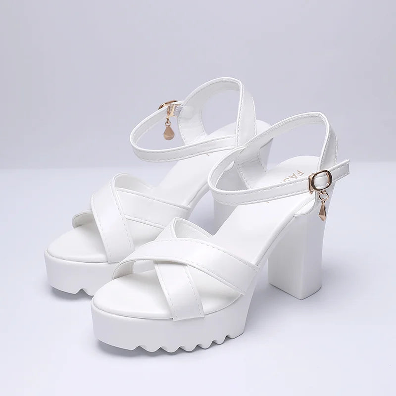 Women’s Platform Wedge Heels