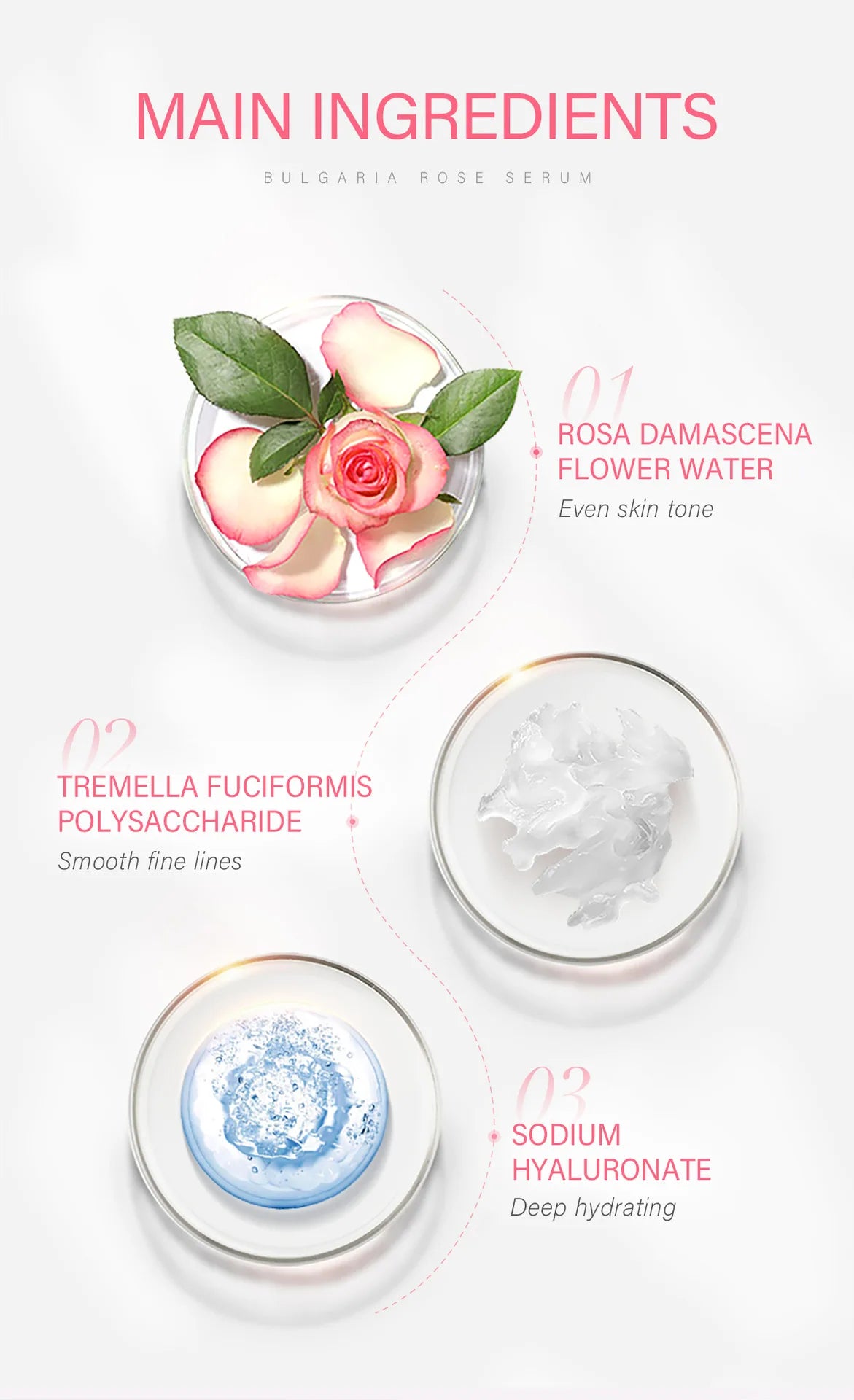 LAIKOU Cherry Blossom.