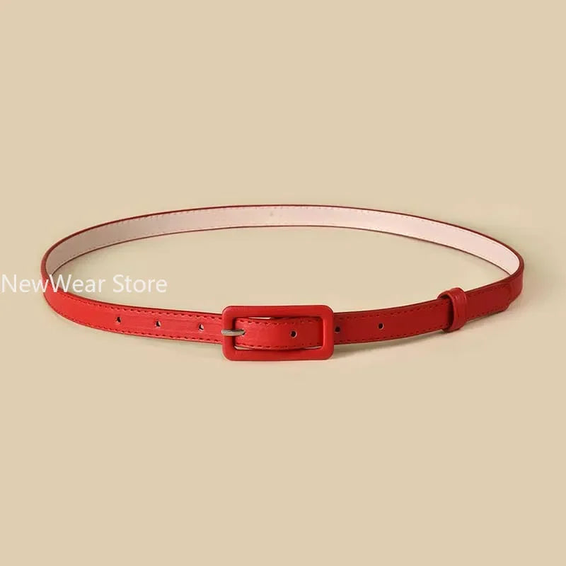 Women’s Thin Elastic Belt