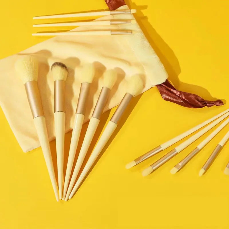 Professional Cosmetic Brush Kit for Women