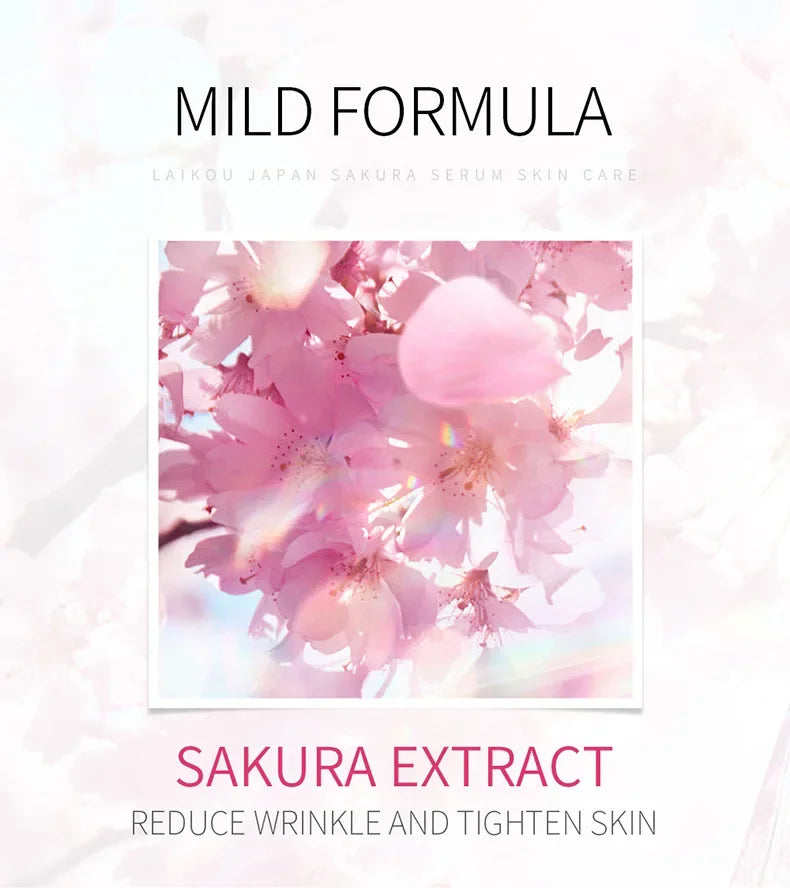 LAIKOU Cherry Blossom.