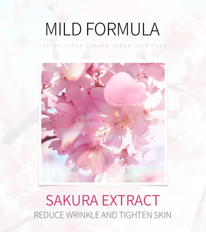 LAIKOU Cherry Blossom.